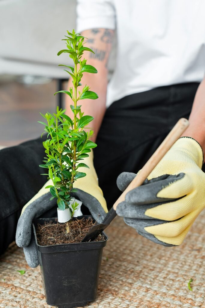 pexels-photo-8543140-8543140 Close-up of person planting a seedling in a pot with gloves, promoting environmental conservation.